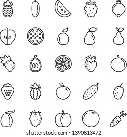 thin line vector icon set - cucumber vector, strawberry, pear, orange slice, apple, grape, tasty, medlar, blackberry, raspberry, mulberry, loquat, date fruit, tangerine, half, of passion, delicious