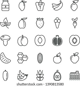 thin line vector icon set - mushroom vector, peper, cone, jar of jam, mint, honeycombs, apple, half pomegranate, quince, apricot, red, plum, tasty raspberry, mango, loquat, peach, date fruit, sweet