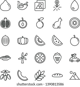 thin line vector icon set - picture vector, drop, loaf, slices of onion, chili, strawberry, orange slice, half pomegranate, fig, blueberry, melon, water, goji berry, tasty plum, cherry, kiwi, pets