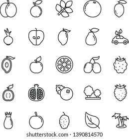 thin line vector icon set - beet vector, blueberries, apple, half pomegranate, pear, apricot, tasty, rose hip, blackberry, raspberry, blueberry, mulberry, cornels, mango, of, plum, lemon, juicy