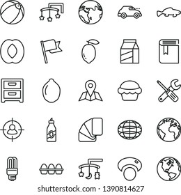 thin line vector icon set - sign of the planet vector, book, toys over cradle, cot, baby bath ball, small tools, sample colour, map, flag, nightstand, package, bundle eggs, cake, fish, liquor, lemon
