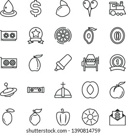 thin line vector icon set - children's train vector, yule, colored air balloons, concrete mixer, building level, ripe peach, quince, half of mango, loquat, melon, lemon, yellow, slice, pineapple