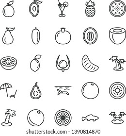 thin line vector icon set - small fish vector, orange, pomegranate, half of mango, melon, date fruit, slice tangerine, kiwi, passion, sour lime, guava, coconut, pineapple, grapefruit, ripe, part