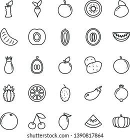 thin line vector icon set - cherry vector, half apricot, rose hip, medlar, mulberry, mango, melon, water slice, tangerine, of, loquat, tasty plum, sweet date fruit, yellow lemon, juicy, kiwi, potato