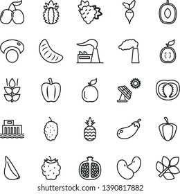 thin line vector icon set - garlic vector, a pineapple, mint, half pomegranate, branch of grape, blackberry, mulberry, tasty cornels, delicious plum, slice tangerine, guava, guawa, ripe, tomato