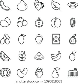 thin line vector icon set - eggs vector, a plate of milk, mint, apple, branch grape, pear, raspberry, strawberry, cornels, fig, blueberries, slice melon, water, mango, half cherry, sweet date fruit
