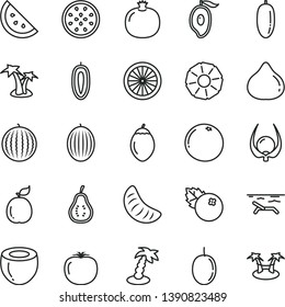 thin line vector icon set - blueberries vector, orange slice, pomegranate, fig, melon, water, half of mango, date fruit, tangerine, passion, sweet, tamarillo, guava, coconut, pineapple, grapefruit