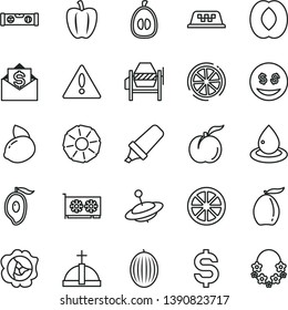 thin line vector icon set - warning vector, yule, concrete mixer, building level, ripe peach, squash, melon, half of mango, loquat, yellow lemon, juicy, slice, pineapple, Bell pepper, drop oil, eyes