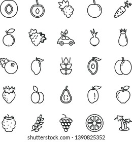 thin line vector icon set - beet vector, blueberries, apple, mint, grape, branch of, large, red, plum, strawberry, rose hip, blackberry, blueberry, mango, half, ripe, tasty, cherry, juicy lemon