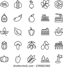 thin line vector icon set - beet vector, squash, cornels, tasty mulberry, goji berry, half loquat, guava, ripe pineapple, pepper, garlic, broccoli, eggplant, pumpkin, leaves, leaf, hydroelectricity