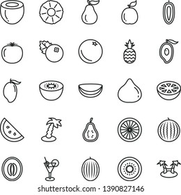 thin line vector icon set - blueberries vector, a pineapple, orange slice, fig, melon, water, mango, half of, sweet date fruit, kiwi, guava, piece coconut, grapefruit, ripe, part, persimmon, hammok