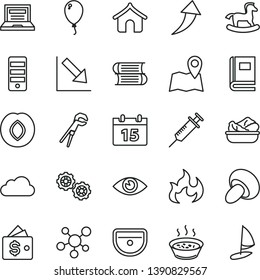 thin line vector icon set - laptop vector, negative chart, small rocking horse, balloon, books, gears, adjustable wrench, sink, calendar, eye, porcini, porridge in a saucepan, lettuce plate, plum