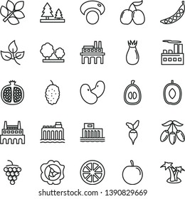 thin line vector icon set - half pomegranate vector, large grape, squash, rose hip, mulberry, tasty cornels, goji berry, delicious plum, loquat, juicy lemon, peas, beans, mashroom, radish, leaves