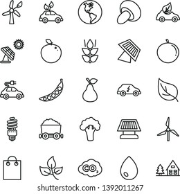 thin line vector icon set - drop vector, porcini, pear, mint, tangerine, delicious apple, peas, broccoli, big solar panel, leaves, leaf, windmill, wind energy, planet Earth, saving bulb, eco car