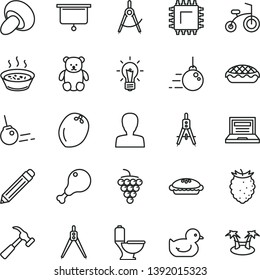 thin line vector icon set - laptop vector, graphite pencil, woman, baby duckling, small teddy bear, child bicycle, big core, toilet, hammer with claw, porcini, pie, apple, porridge in a saucepan