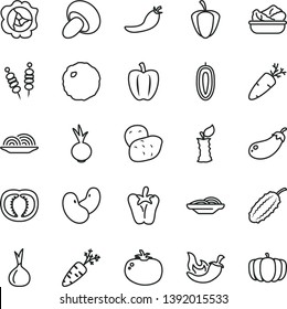 thin line vector icon set - fried vegetables on sticks vector, onion, slices of, porcini, lettuce in a plate, cabbage, tomato, chili, peper, beet, carrot, squash, sweet date fruit, apple stub, half