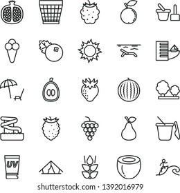 thin line vector icon set - wicker pot vector, toy sand set, children's, cone, blueberries, pear, mint, half pomegranate, large grape, strawberry, blackberry, tasty raspberry, blueberry, water melon