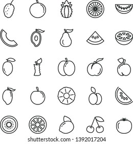 thin line vector icon set - apple vector, cherry, peach, ripe, tasty mulberry, slice of melon, water, mango, half, tangerine, plum, lemon, yellow, juicy, kiwi, orange, pineapple, grapefruit, guava