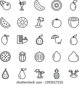 thin line vector icon set - blueberries vector, a pineapple, orange slice, fig, water melon, mango, of tangerine, lime, half kiwi, passion fruit, sour, guava, guawa, coconut, ripe, part, persimmon