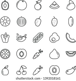 thin line vector icon set - Hot Dog vector, chili, peper, carrot, fried egg, cherry, half apricot, plum, fig, blueberry, mulberry, tasty, water melon, slice of, delicious, date fruit, yellow lemon