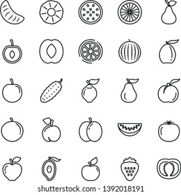 thin line vector icon set - cucumber vector, strawberry, pear, peach, ripe, apple, quince, apricot, red, water melon, half of mango, loquat, slice, tangerine, tasty plum, cherry, passion fruit