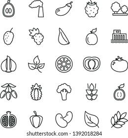 thin line vector icon set - tomato vector, garlic, mint, half pomegranate, grape, blackberry, tasty mulberry, goji berry, loquat, juicy lemon, guava, of guawa, ripe pineapple, pepper, beans, leaves