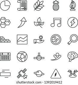 thin line vector icon set - minus vector, pie chart, line, brick wall, planet, honeycombs, pineapple, leaves, catch a coin, research article, calendar, network, connect, note, electricity, zoom