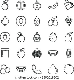 thin line vector icon set - jam vector, peach, half pomegranate, branch of grape, large, red apple, plum, fig, medlar, blackberry, blueberry, blueberries, mulberry, tasty cornels, water melon, slice