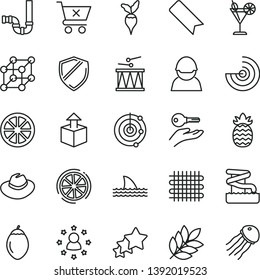 thin line vector icon set - bookmark vector, hat, drumroll, siphon, crossed cart, unpacking, cocktail, juicy lemon, tamarillo, slice of, pineapple, radish, racer, weaving, radar, biology, 3d cube