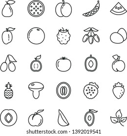 thin line vector icon set - eggs vector, mushroom, garlic, strawberries, a pineapple, peach, ripe, apple, pear, plum, raspberry, cornels, blackberry, half of mango, goji berry, delicious, melon