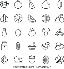 thin line vector icon set - mushroom vector, a bowl of buckwheat porridge, garlic, coffee beans, jar jam, strawberry, rose hip, fig, half medlar, blueberries, tasty cornels, melon, water, slice