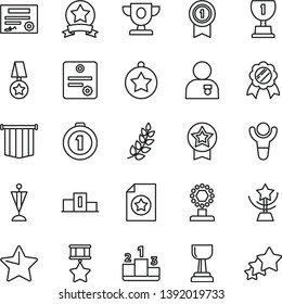 thin line vector icon set - star vector, pedestal, patente, winner, laurel branch, prize, award, cup, gold, man with medal, pennant, first place, hero, ribbon, certificate, flag, three stars