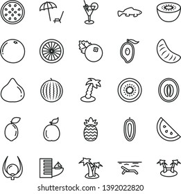 thin line vector icon set - small fish vector, blueberries, orange slice, fig, water melon, half of mango, tangerine, sweet date fruit, kiwi, passion, sour lime, guava, pineapple, grapefruit, hotel
