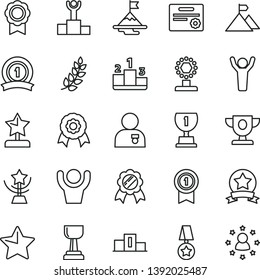 thin line vector icon set - star vector, pedestal, medal, laurel branch, winner podium, prize, award, cup, gold, reward, man hands up, with, motivation, mountain flag, pennant, ribbon, certificate