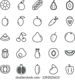 thin line vector icon set - Hot Dog vector, carrot, fried egg, strawberry, cherry, half pomegranate, plum, rose hip, fig, tasty mulberry, delicious, water melon slice, date fruit, passion, lemon, of