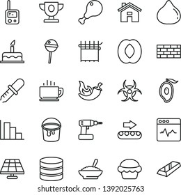 thin line vector icon set - house vector, positive histogram, toy phone, cake, brickwork, cordless drill, paint bucket, cardiogram, coffee, a bowl of buckwheat porridge, chicken leg, chili, fig