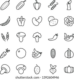 thin line vector icon set - fried vegetables on sticks vector, mushroom, porcini, meat skewers, cabbage, cucumber, chili, peper, squash, mulberry, sweet date fruit, apple stub, ripe pepper, red, hot