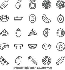 thin line vector icon set - stationery knife vector, cheese, pizza, piece of, cake slice, meat, cucumber, sandwich, water melon, half mango, delicious plum, tangerine, lemon, tamarillo, sour lime