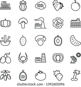 thin line vector icon set - tomato vector, grape, branch of, squash, mulberry, tasty cornels, goji berry, delicious plum, slice tangerine, half loquat, ripe pineapple, physalis, mashroom, broccoli