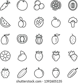 thin line vector icon set - cucumber vector, carrot, strawberries, apple, orange slice, grape, raspberry, strawberry, blackberry, tasty, blueberries, mulberry, loquat, half melon, tangerine, of