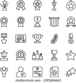 thin line vector icon set - star vector, pedestal, medal, patente, winner, laurel branch, prize, award, gold cup, reward, man with, pennant, ribbon, hero, certificate, flag, three stars