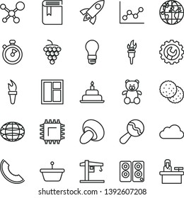 thin line vector icon set - graph vector, book, beanbag, teddy bear, birthday cake, crane, window, gear, porcini, biscuit, large grape, slice of melon, light bulb, smd, pan, globe, planet, cloud