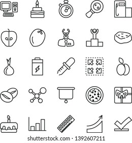 thin line vector icon set - size vector, pizza, torte, birthday cake, piece of meat, coffee beans, apple, tasty, coconut, onion, charging battery, modern gas station, magnifying glass, giftbox