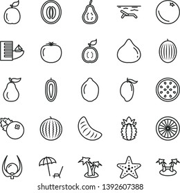 thin line vector icon set - blueberries vector, orange, fig, melon, water, mango, half, slice of tangerine, sweet date fruit, lime, passion, guava, guawa, ripe pineapple, part, physalis, persimmon