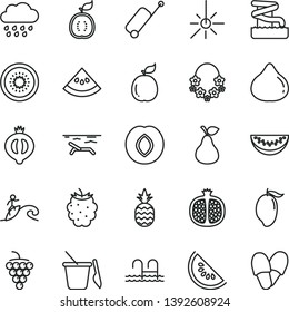 thin line vector icon set - rainy cloud vector, children's sand set, a pineapple, pear, half pomegranate, large grape, plum, fig, of medlar, blackberry, slice water melon, mango, kiwi, guava, guawa