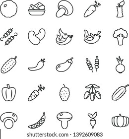 thin line vector icon set - fried vegetables on sticks vector, mushroom, porcini, lettuce in a plate, meat skewers, cabbage, cucumber, chili, beet, carrot, mulberry, goji berry, apple stub, red, hot