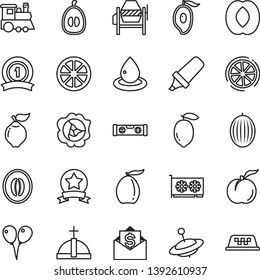 thin line vector icon set - children's train vector, yule, colored air balloons, concrete mixer, building level, ripe peach, squash, quince, melon, half of mango, loquat, lemon, juicy, slice, star