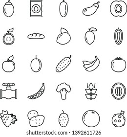 thin line vector icon set - loaf vector, cucumber, mint, half apricot, branch of grape, mulberry, melon, date fruit, passion, sweet, lemon, yellow, bananas, tamarillo, guawa, grapefruit, persimmon