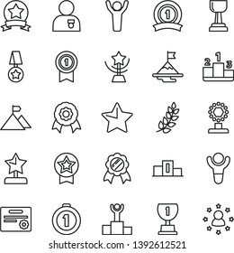 thin line vector icon set - star vector, pedestal, medal, winner, laurel branch, podium, award, cup, gold, reward, man hands up, with, motivation, mountain flag, first place, pennant, ribbon