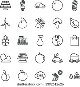 thin line vector icon set - saving light bulb vector, cabbage, apple, pear, mint, tangerine, yellow lemon, delicious, broccoli, solar panel, big, leaf, windmill, planet Earth, hydroelectric station